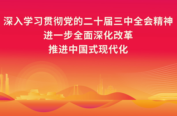 學習宣傳貫徹黨的二十屆三中全會精神